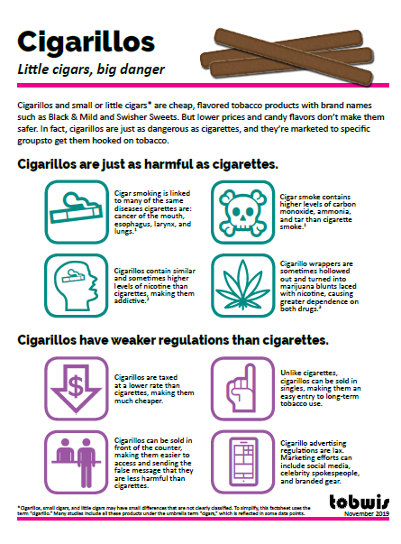Cigarillos Fact Sheet snapshot